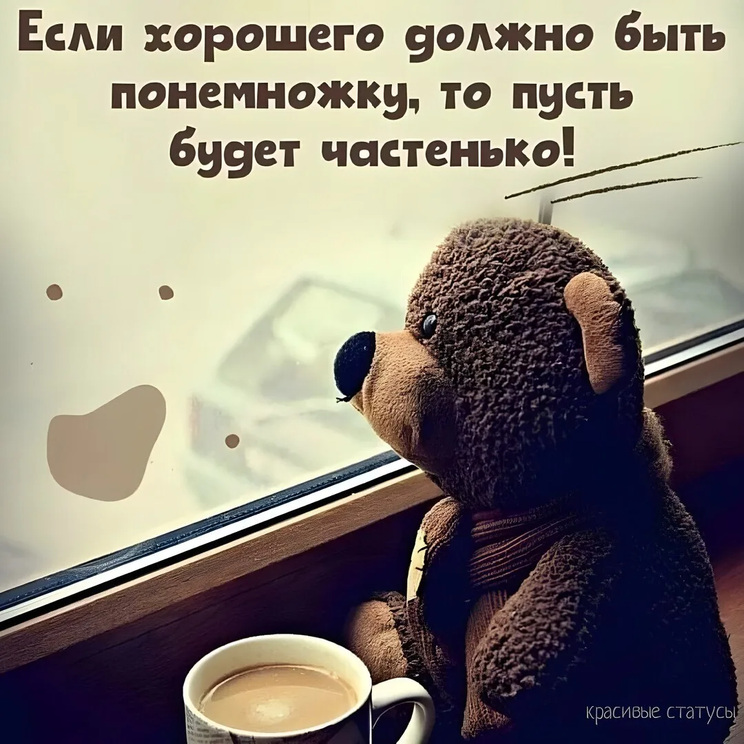Изображение 1 к публикации «Красивые статусы | цитаты»