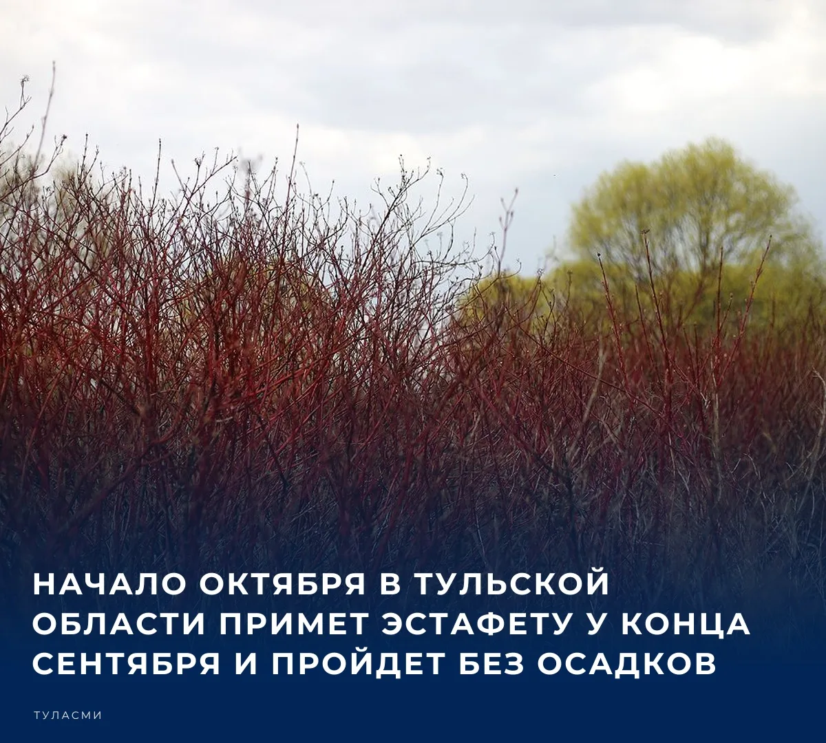 🌤️ Прогнозом погоды на сегодня, 1 октября, делится пресс-служба регионального Главного...