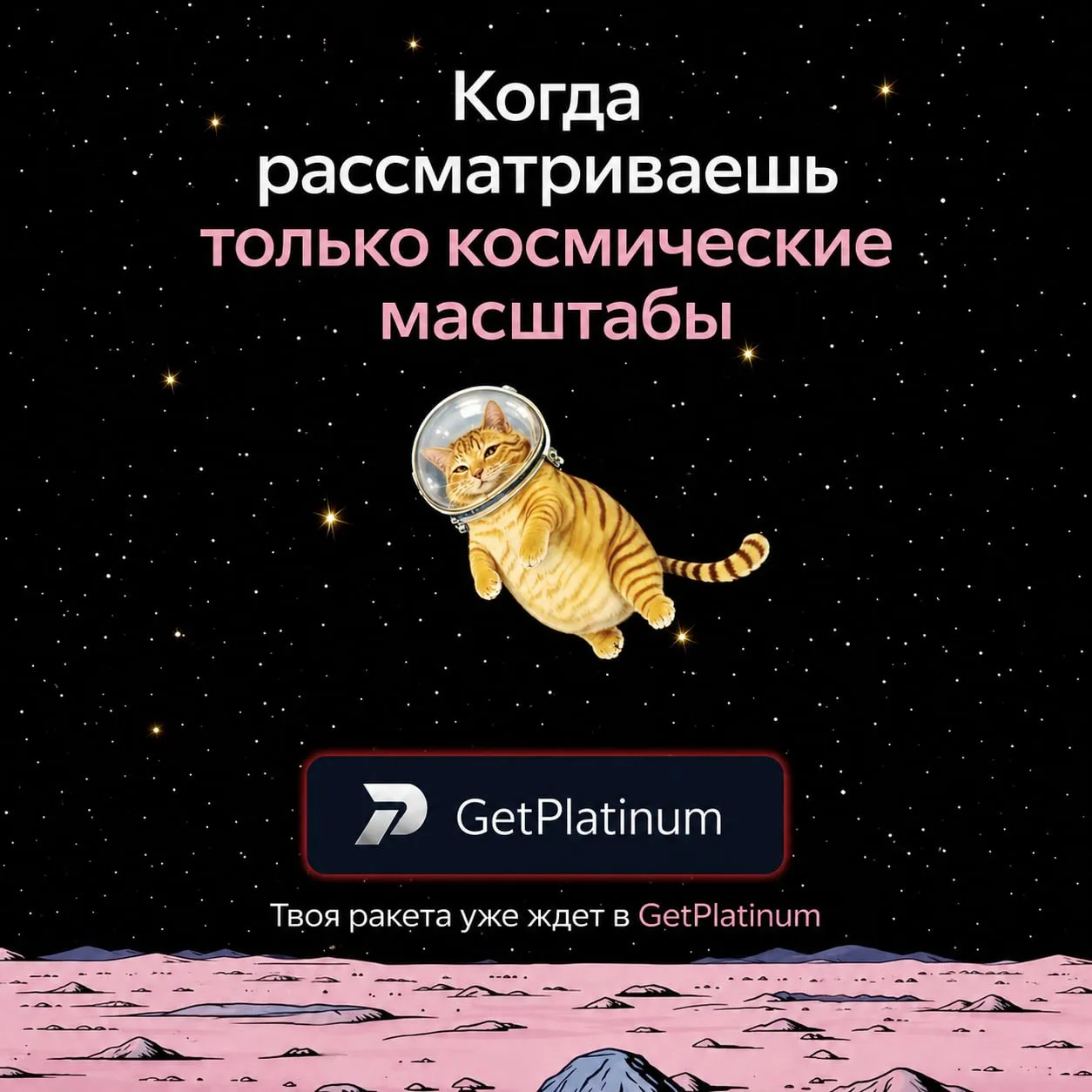 ПРИСТЕГНИТЕСЬ, МЫ ВЗЛЕТАЕМ 🚀