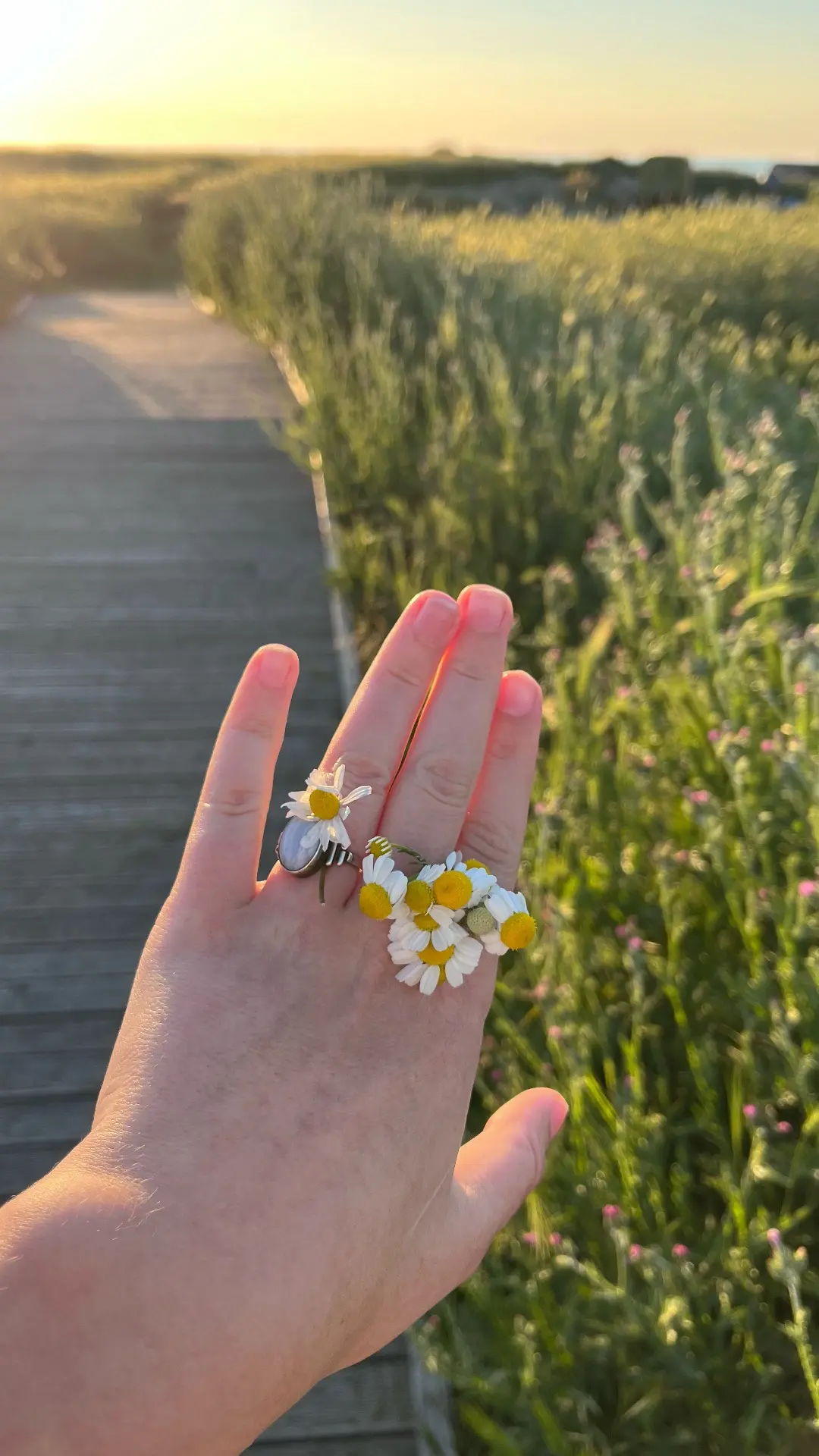 Нас уже 100 человек 🥰🥳🥳🥳

Делюсь фотографиями майского вечернего Херсонеса в лучах закатного сол