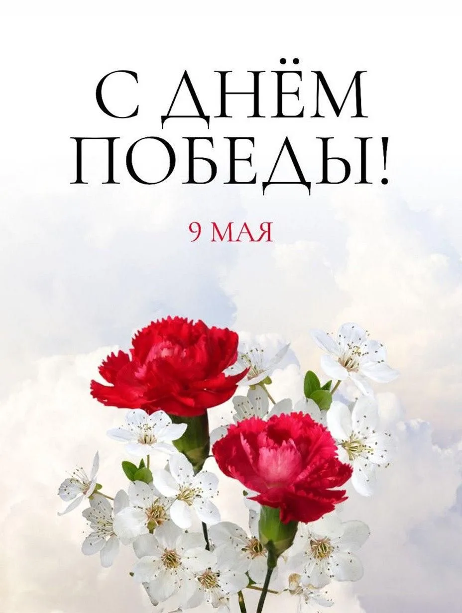 Дорогие земляки!