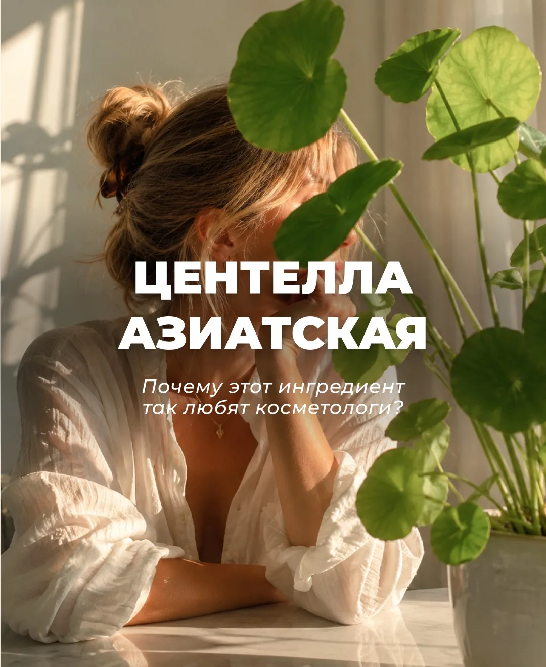 Центелла азиатская уже давно стала одним из самых любимых ингредиентов в уходе за кожей.

Её часто в