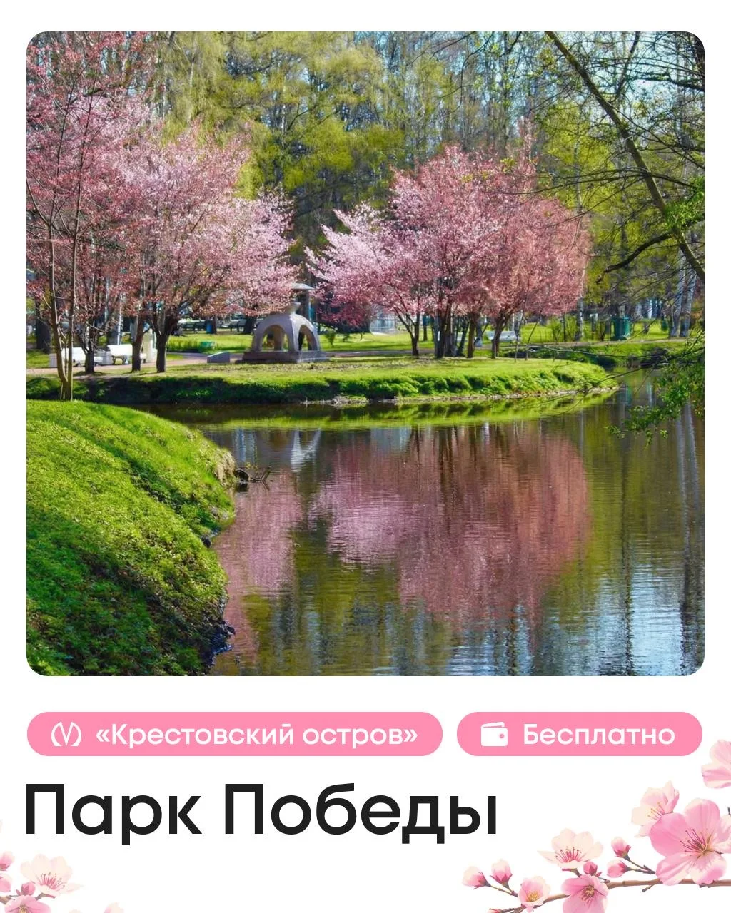 🇯🇵 Полный гайд по сакуре: где искать Японию в Петербурге  Для путешествия в страну восходящего солнц