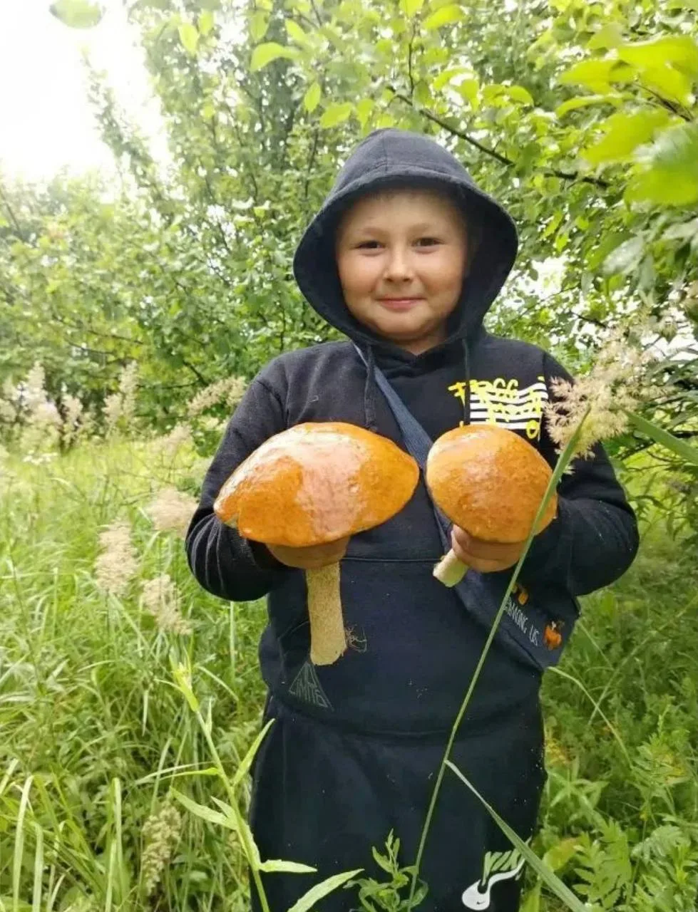 🍄 Грибники, ваш выход! В Захаровском округе начался настоящий грибной бум

Подосиновики, подберёзов