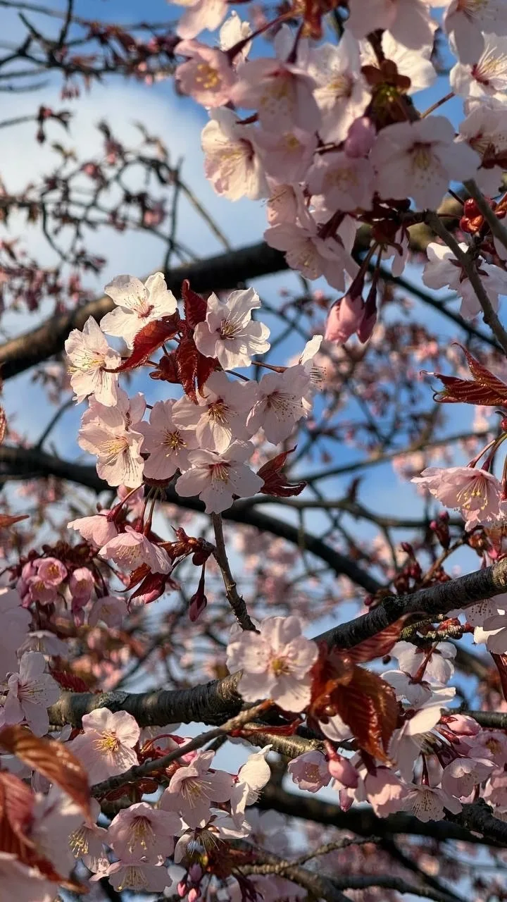 Доброе утро, Южный! 🌞  В эту субботу погода решила порадовать нас настоящим, почти летним теплом. Со