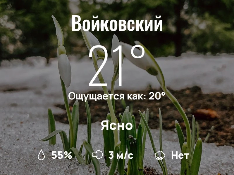 Что с погодой в Войковском?