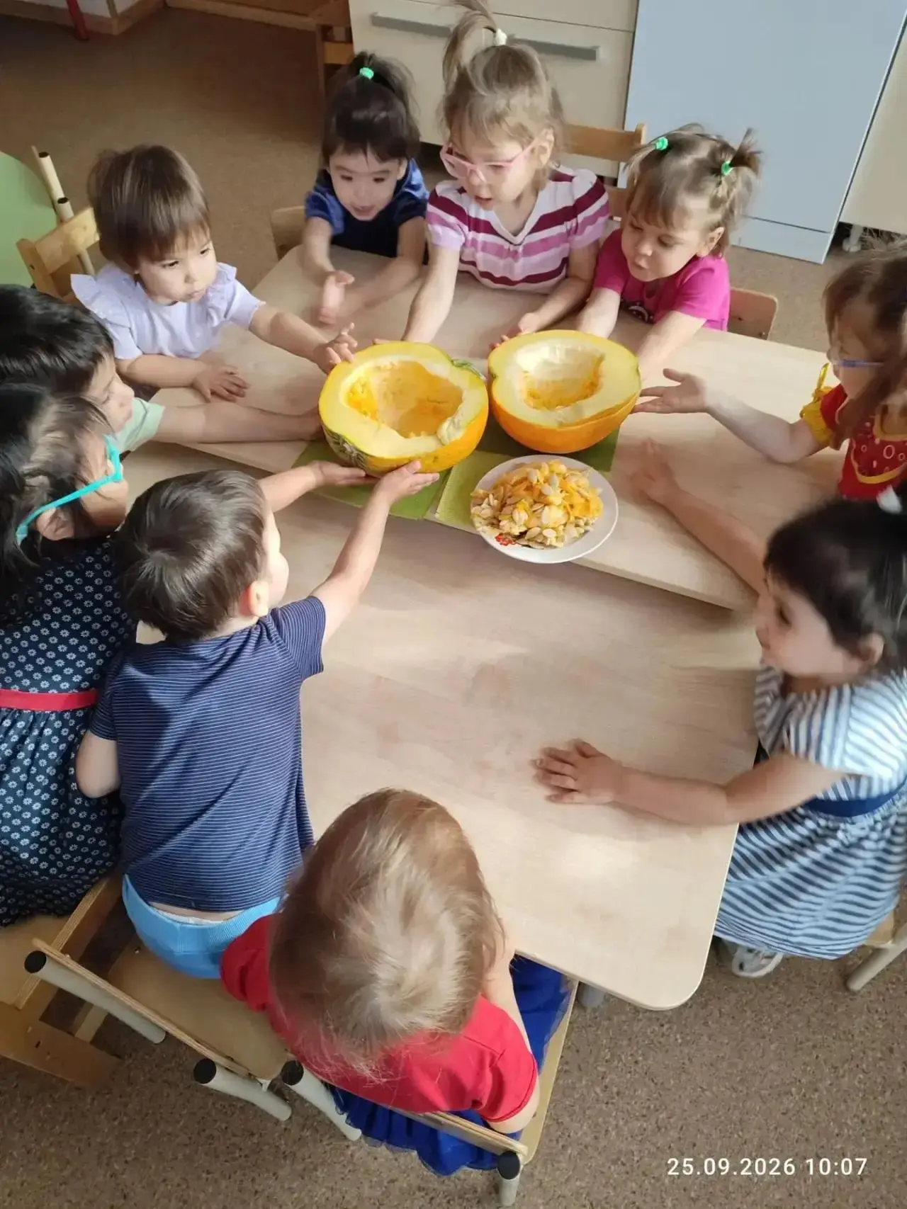 Сказка про Тыковку и ее друзей