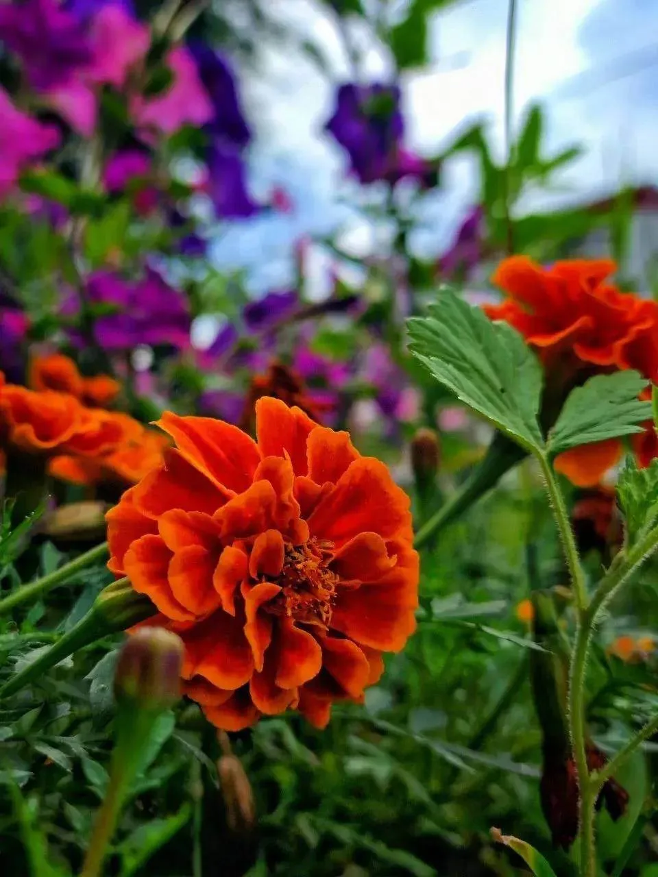 🧡 Август оставляет после себя яркие краски