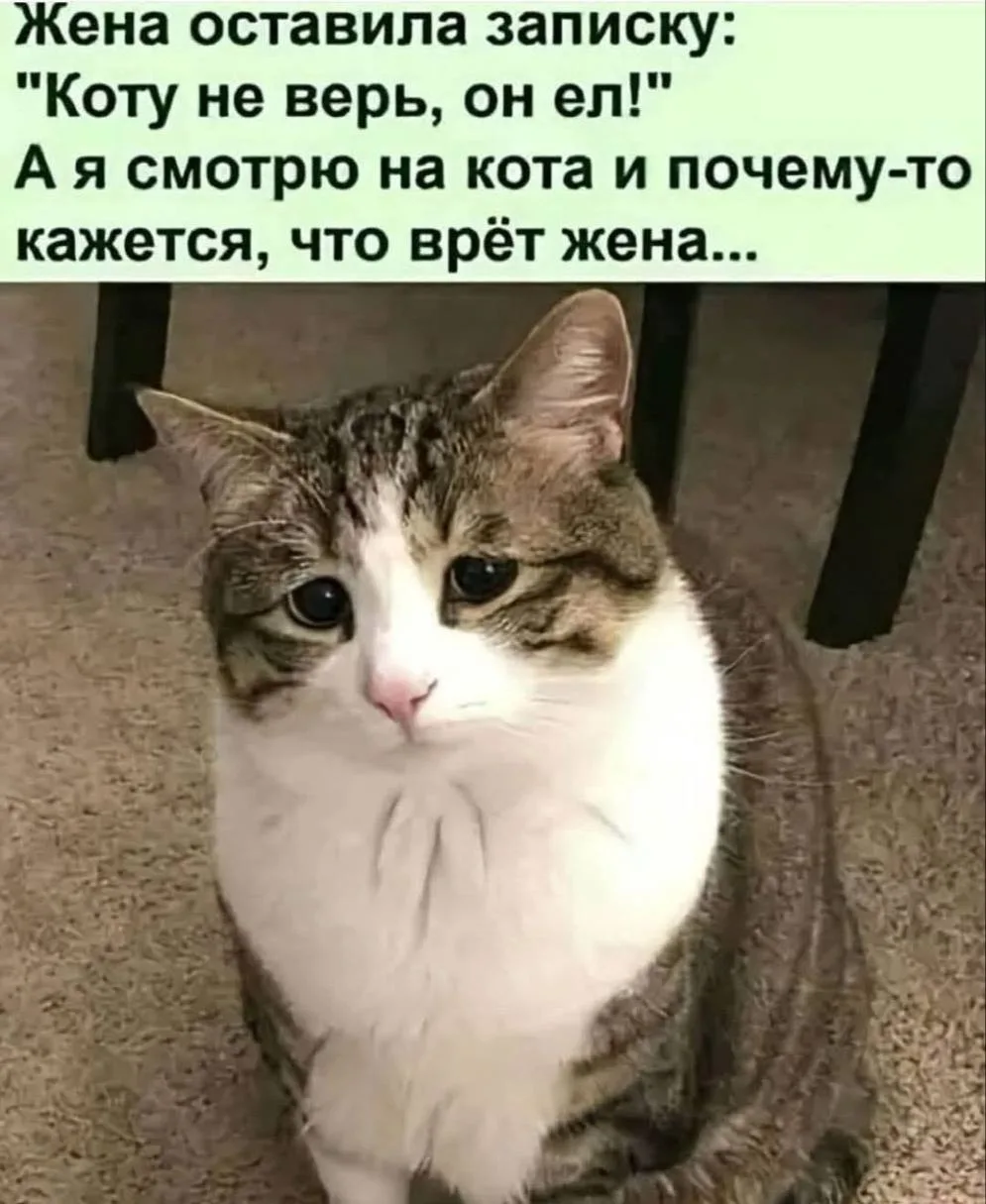 Мода Смеха