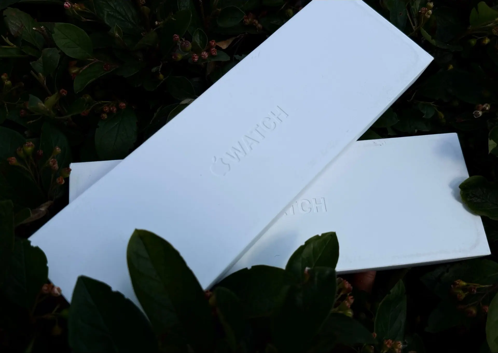⌚️ Apple Watch Series 11

42 mm / 46 mm

Стоимость: от 29.990₽

*цена актуальна за наличный расчет

