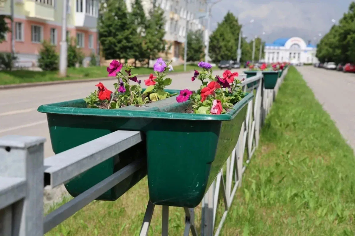 Каменск-Уральский украсили тысячи цветов: в городе продолжается озеленение

В Каменске-Уральском про