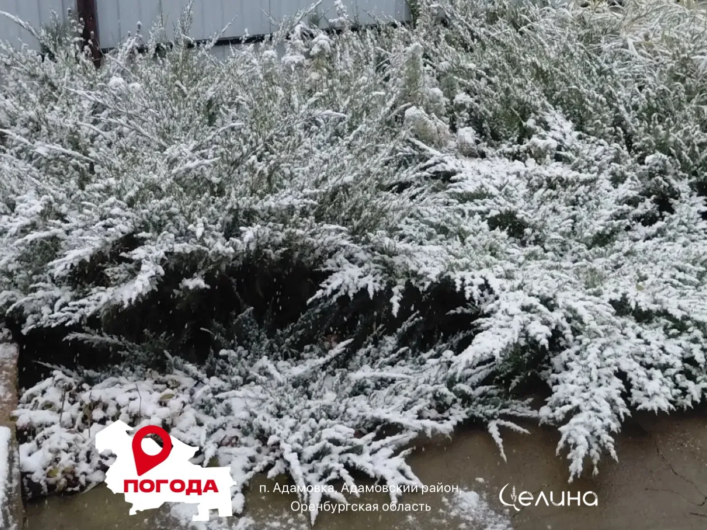 Доброе утро, земляки! Понедельник — начало новой недели, и сегодня особенный день: 5 ок...