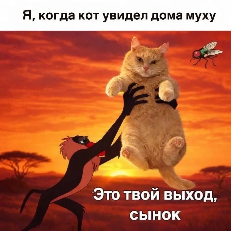 Этой квартире нужен новый герой