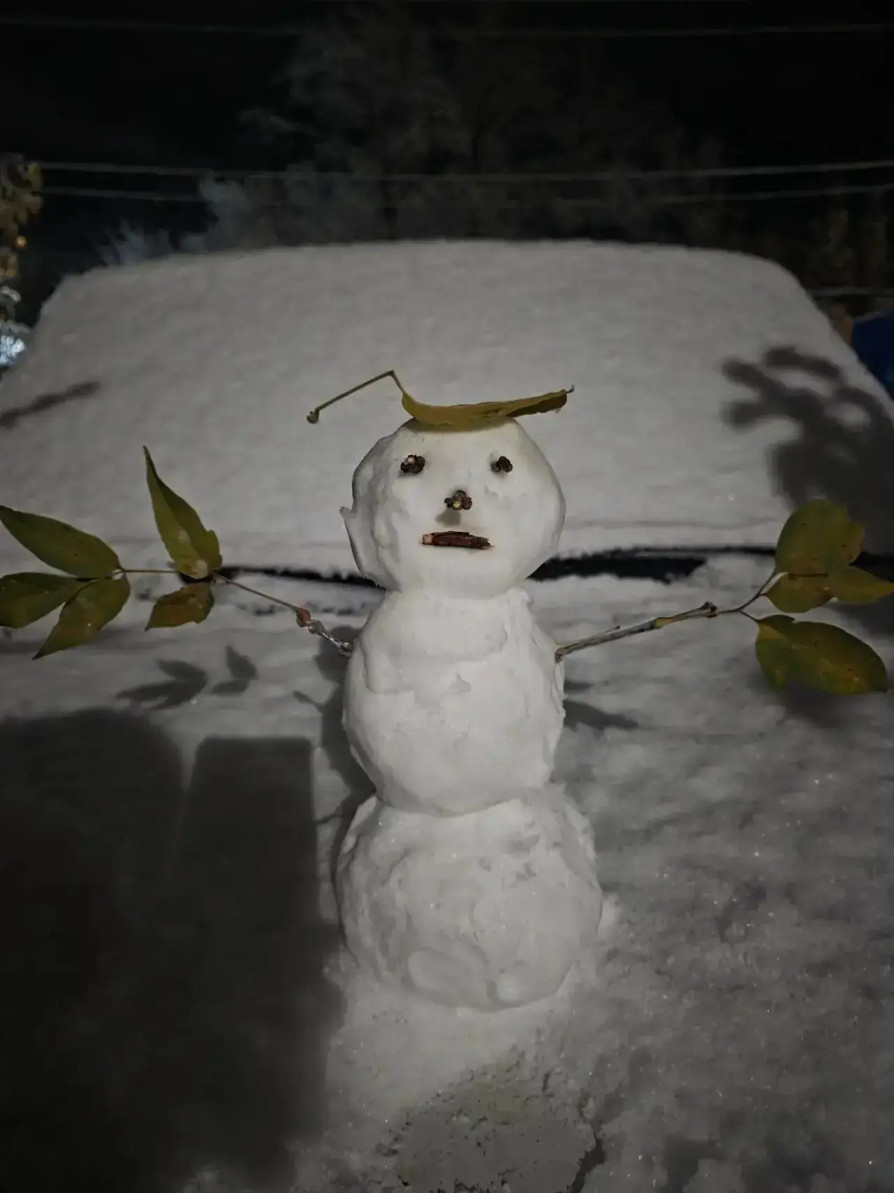 В Оренбургской области уже лепят снеговиков ☃️