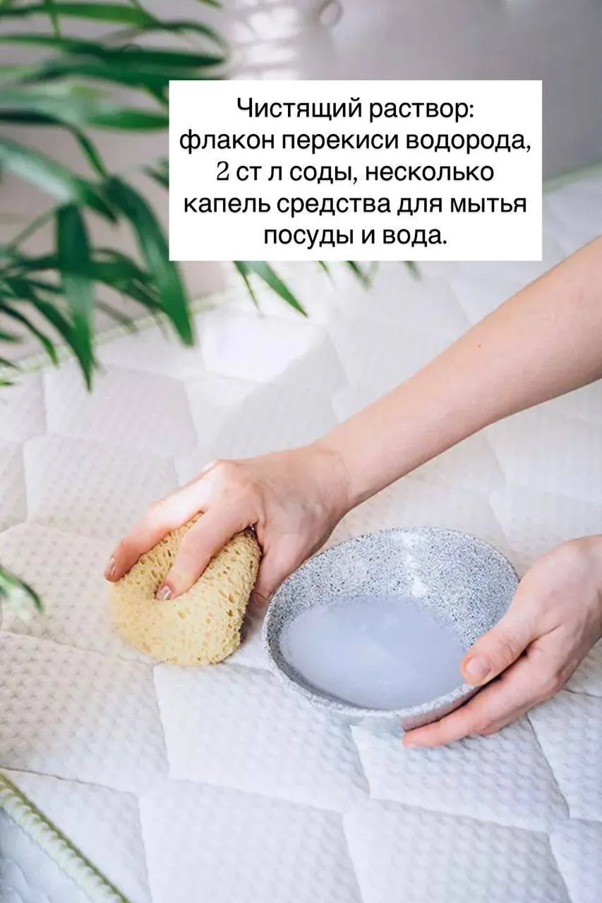 Изображение 2 к публикации «Сохранить успели?»