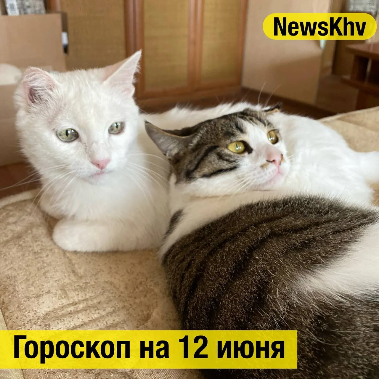 ОВЕН ♈️