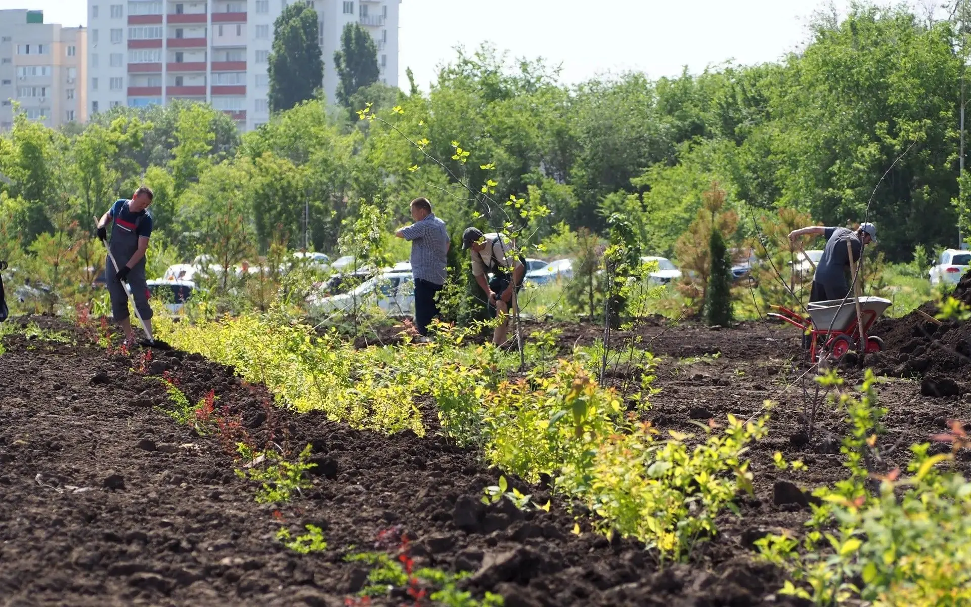 🕊️Вдохновленные величием природы: новый облик ГУЗ «ОКОД»  🌿Ландшафты знаменитых императорских парков