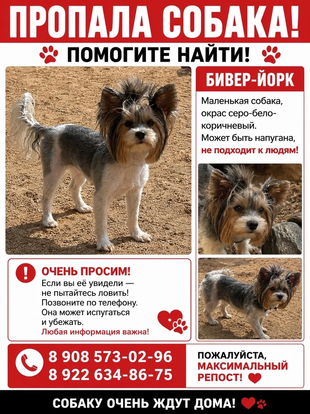 Внимание ⚠️⚠️⚠️