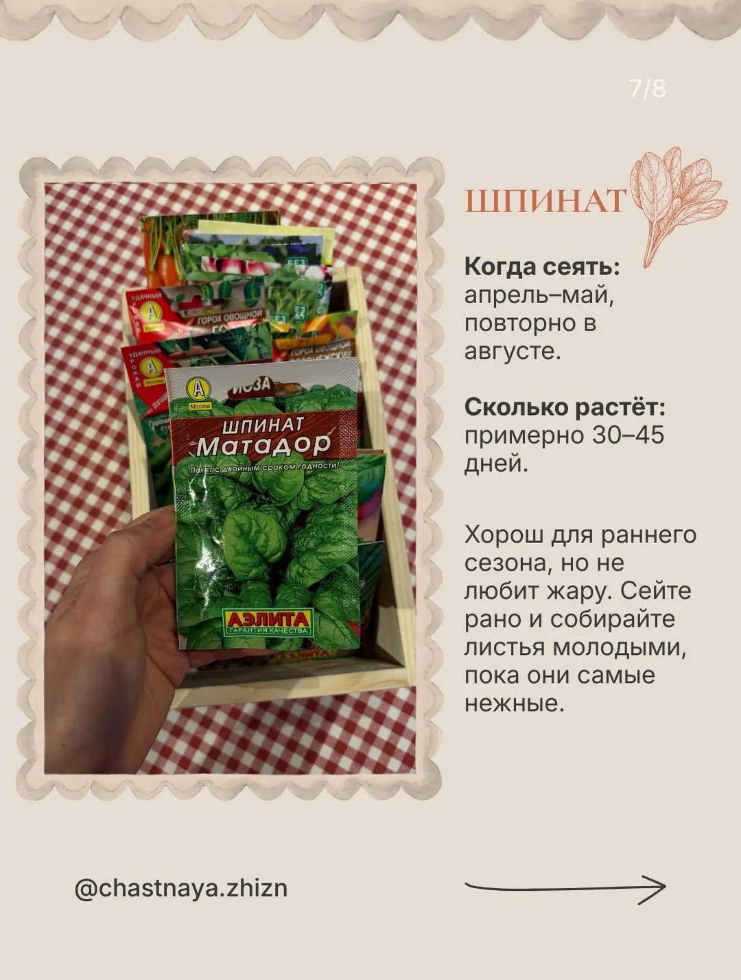 В первый год садоводства особенно хочется увидеть результат🌱   Я абсолютный любитель, но даже у меня
