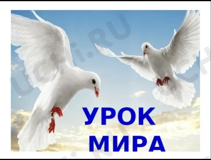 «Урок Мира — не просто урок. Это разговор о самом главном»