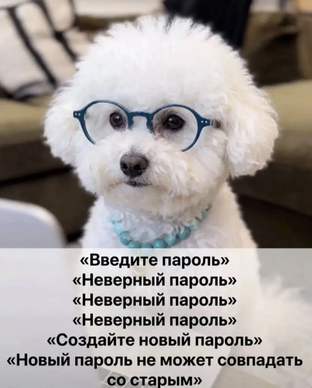 Доброе утро! 😁😎