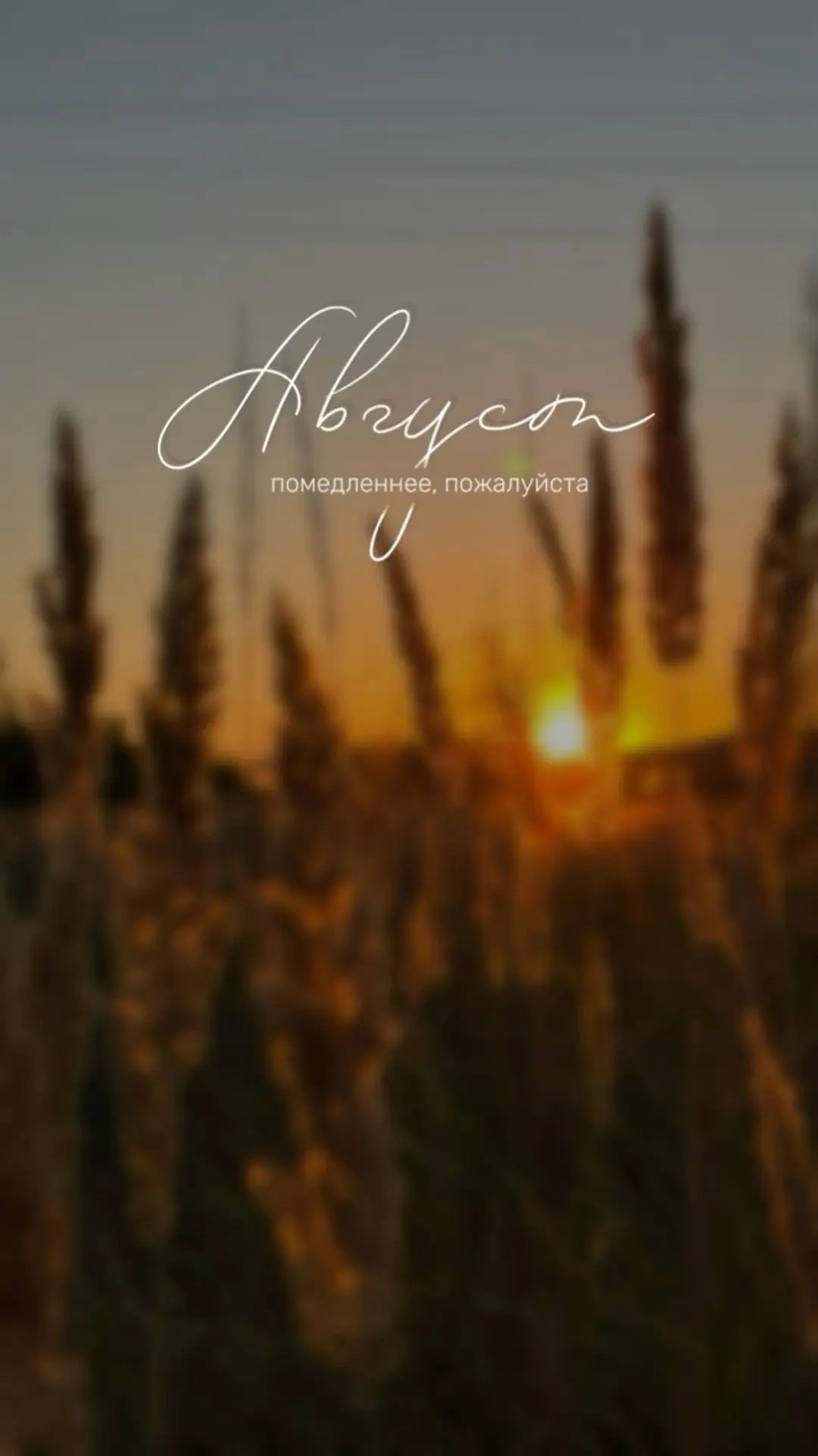 🌅 Август, не торопись…