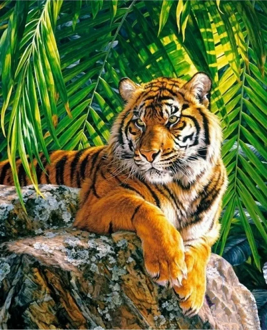 https://vk.com/photo-184814919_493551989