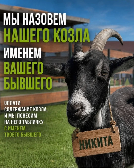 В Калининградской области девушкам предложили назвать козла именем бывшего 🤪Имя появит...
