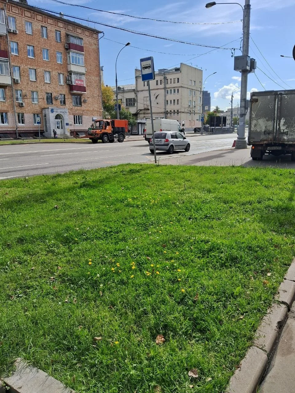 На дворе осень, а газоны на Куусинена всё такие же зеленые. Чудеса какие-то!