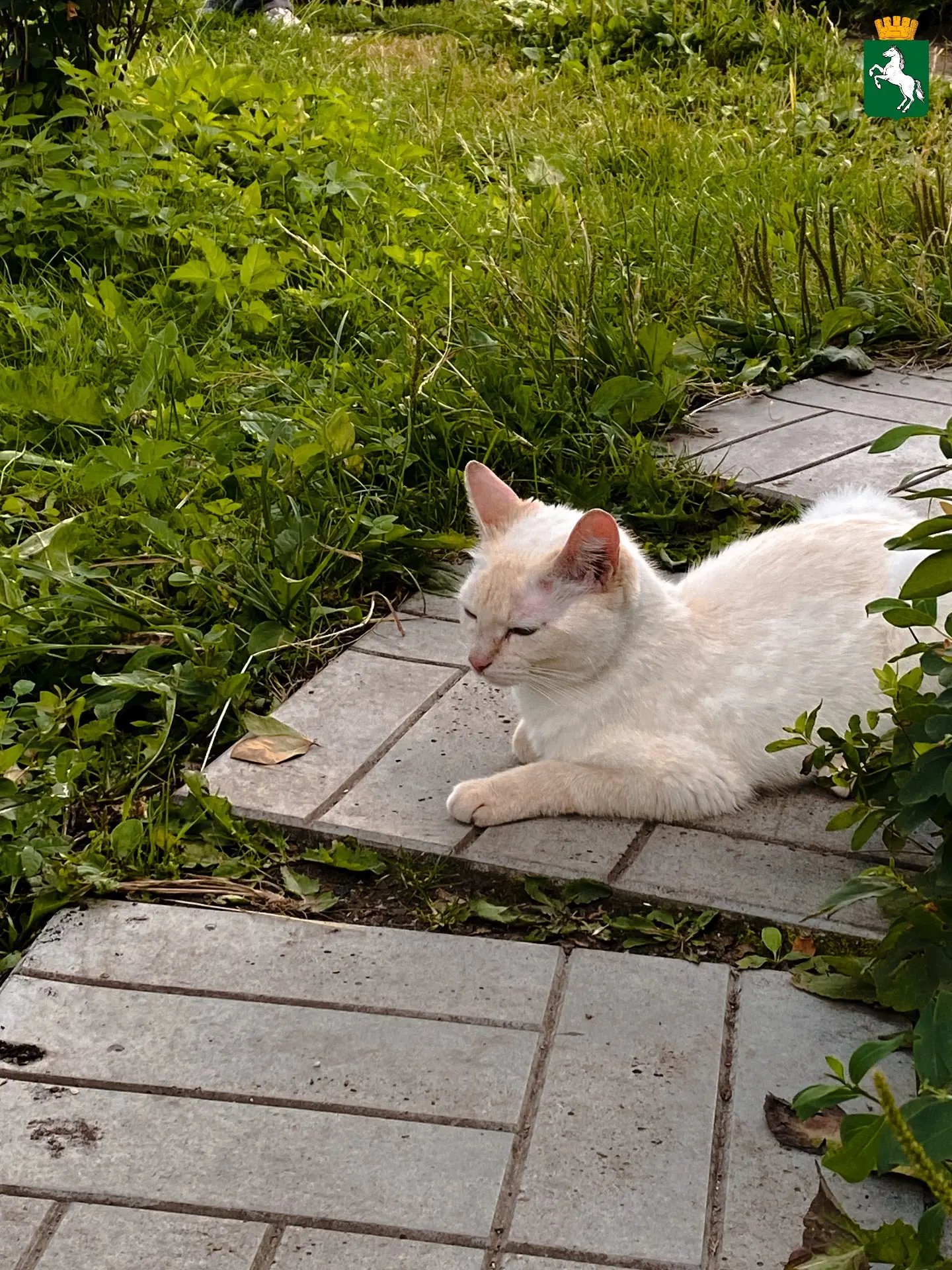Хорошего четверга!

🌡️Ожидается переменная облачность, возможен дождь, +26°
🌬️Ветер северо-западны