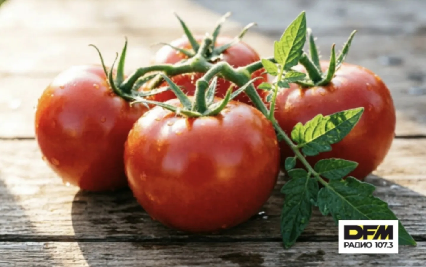 Томаты = зарядка для мозга? 🍅