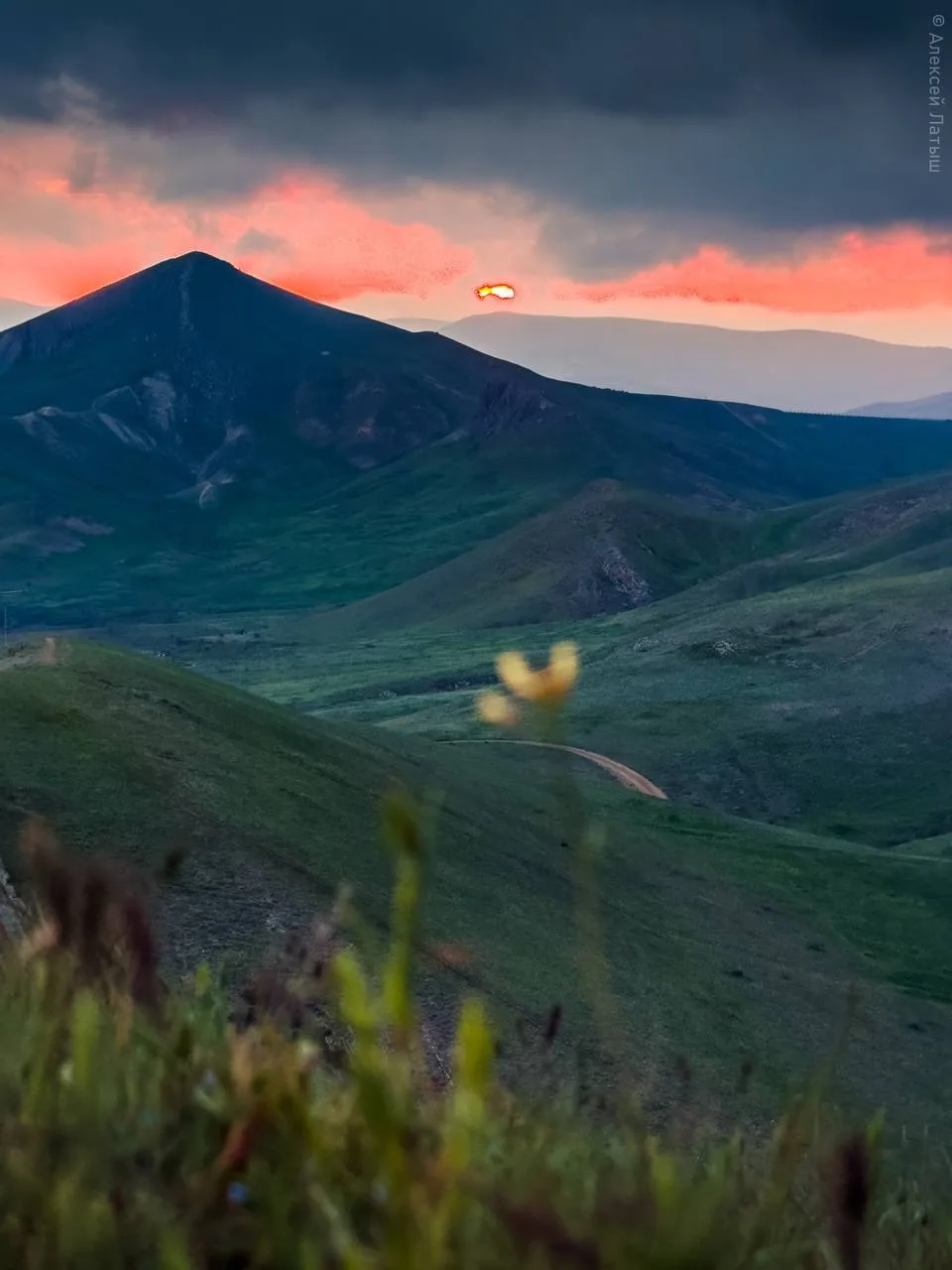 Прогноз погоды в Крыму на 31 июля ☀️

В Симферополе +29 и солнечно

В Севастополе +27 и солнечно

В 