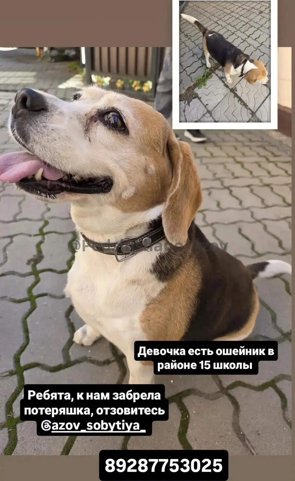 🖋️Подписаться