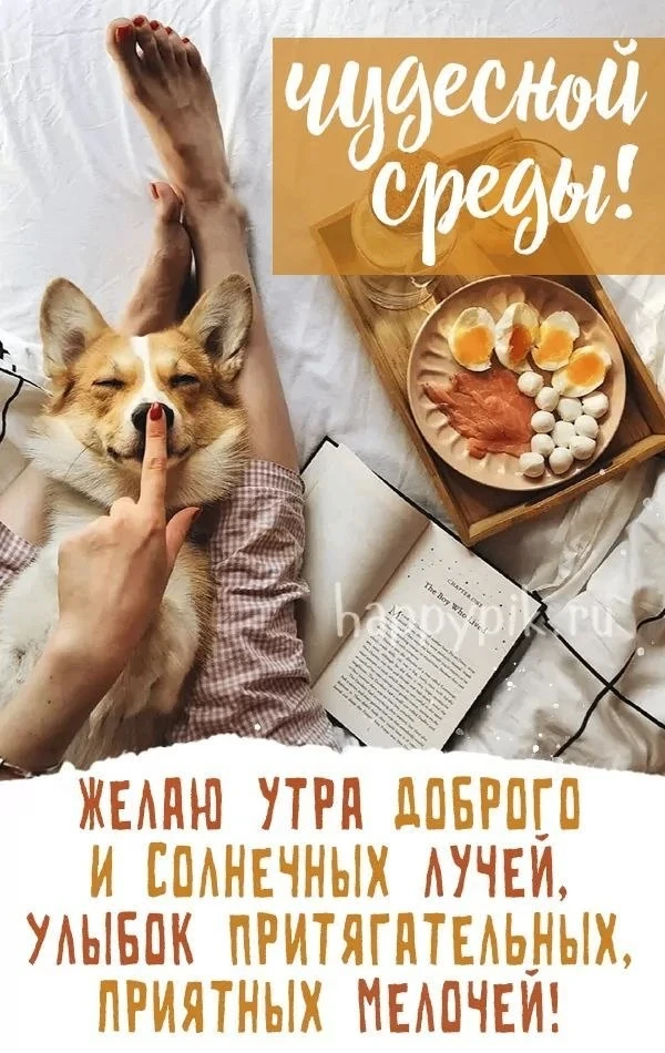 🥰Ставьте реакции и делитесь открыткой с близкими ❤️
