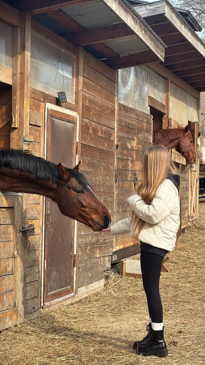 🐎Наши восьмиклассники из Курчатовского 8В класса не просто учатся, а по-настоящему погружаются в мир