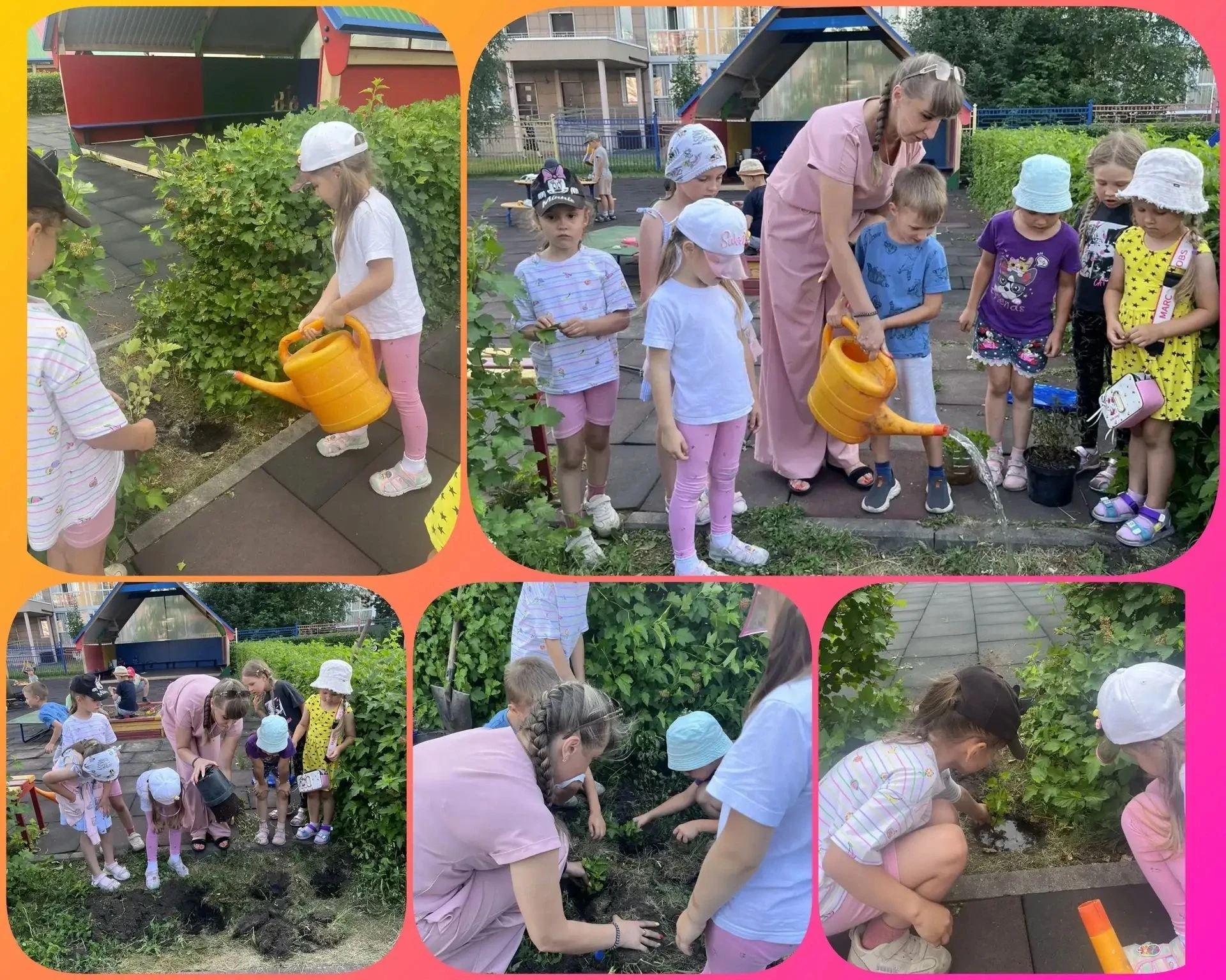 🌱Озеленение участка детского сада👍