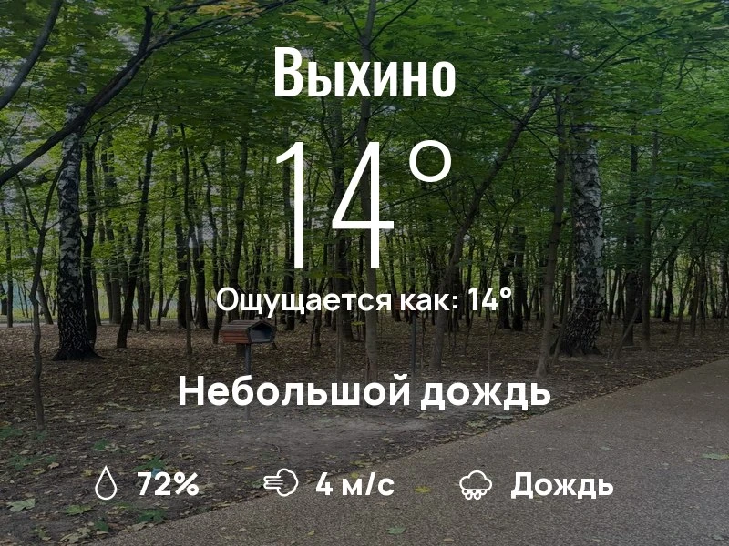 Что с погодой в Выхино?