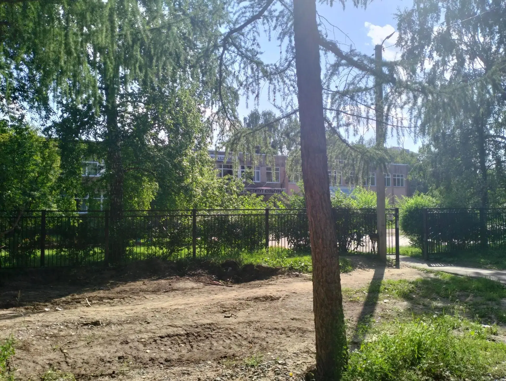 Городской проект по созданию аллеи: на пути в АГИК