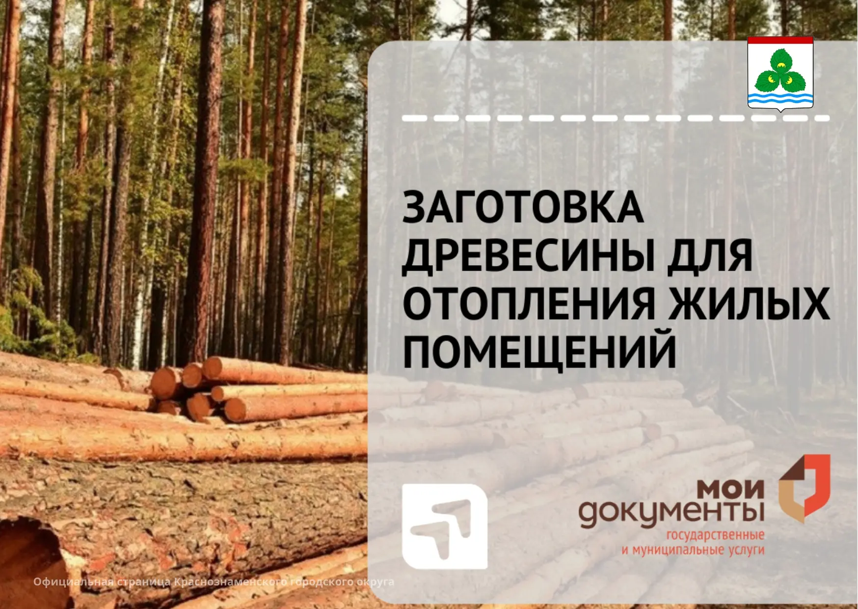 🌲 Важная информация для жителей Калининградской области: о порядке заготовки древесины...