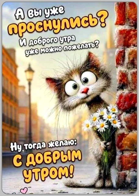 Милые открытки 😊 подписаться