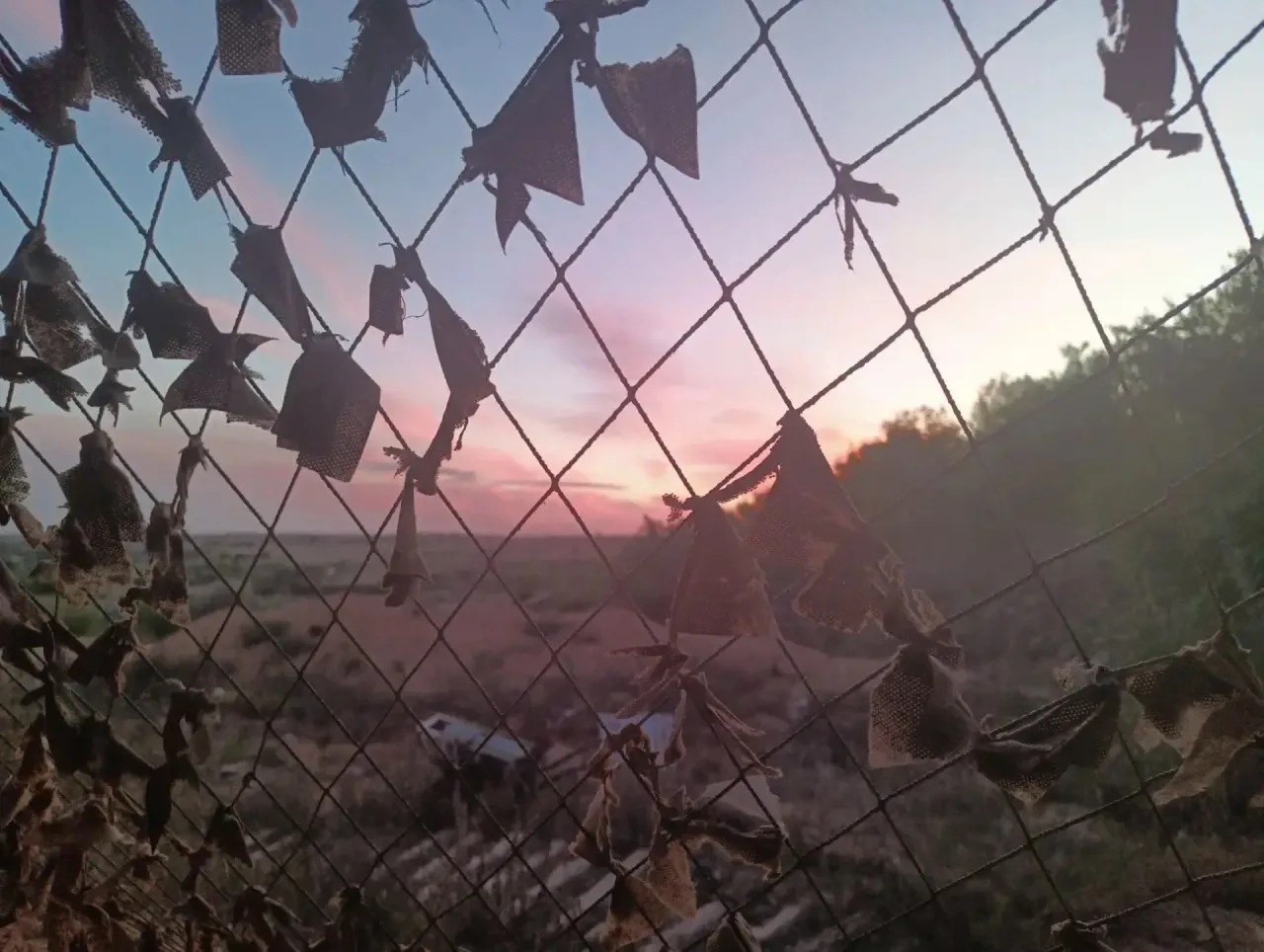 Боевой товарищ прислал.