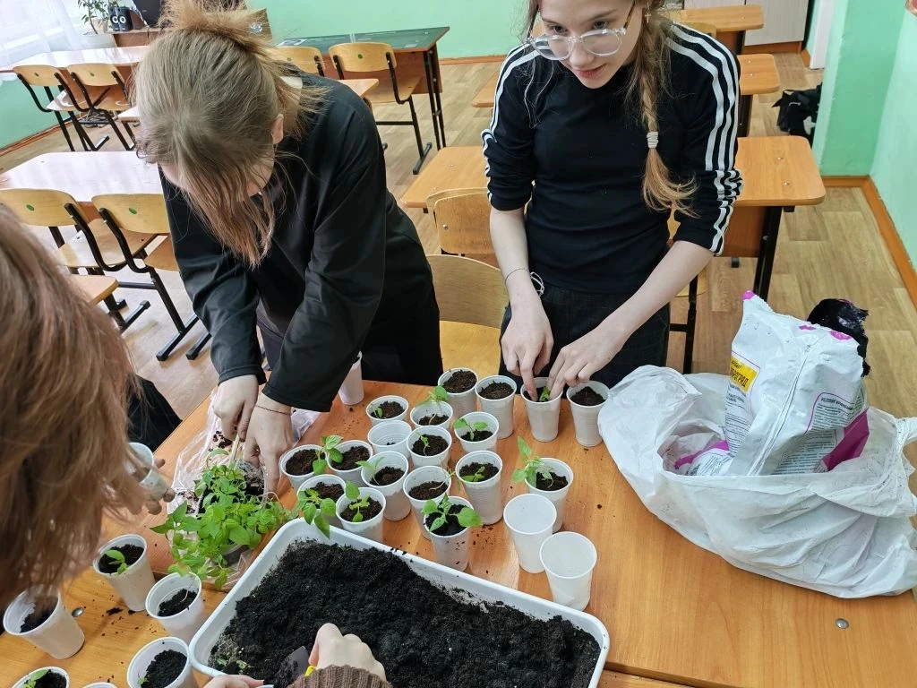 Ученики шестого класса озеленяют школу!  Сегодня ученики 6"В" класса провели замечательный экологиче