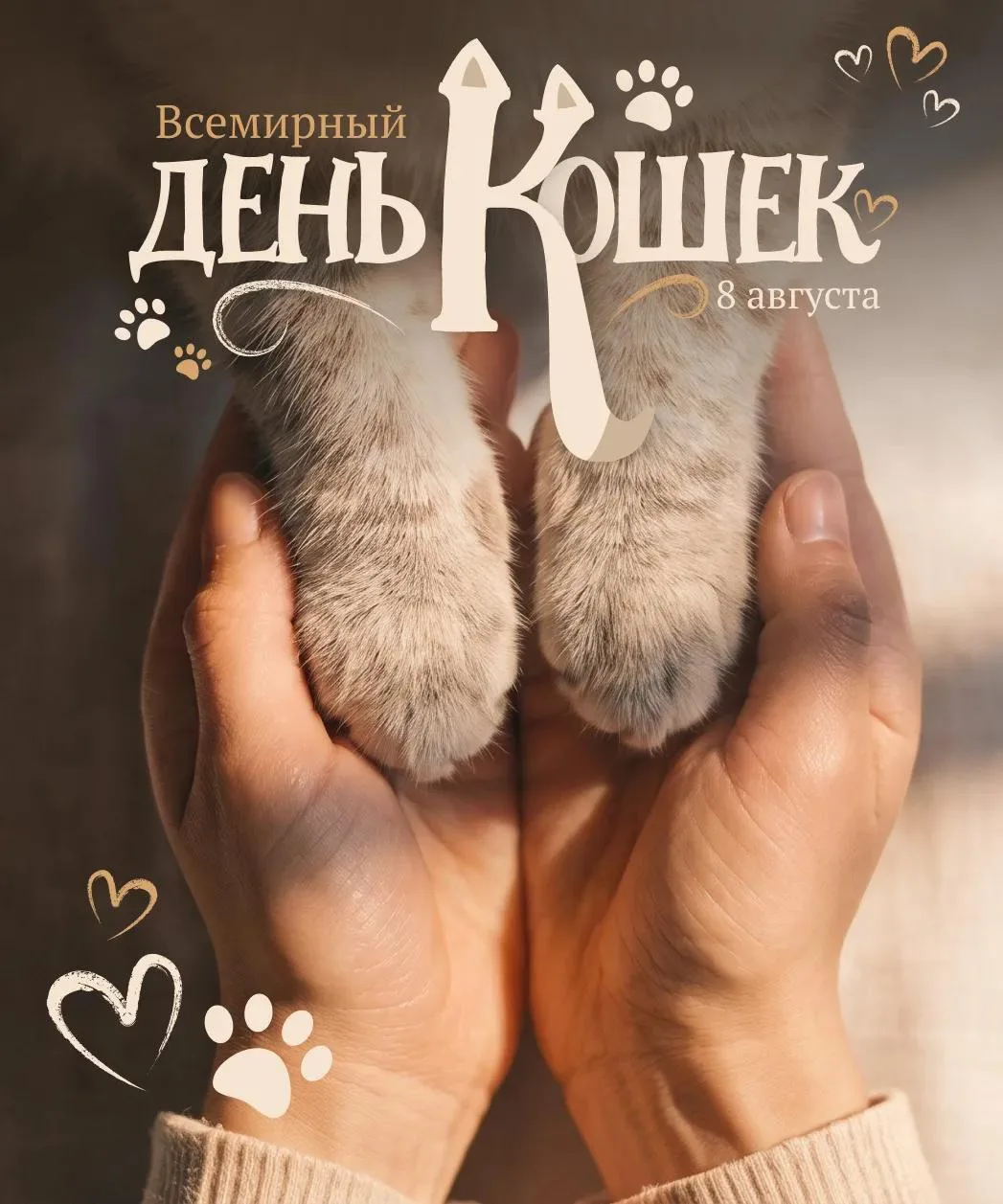 Сегодня Всемирный День кошек!