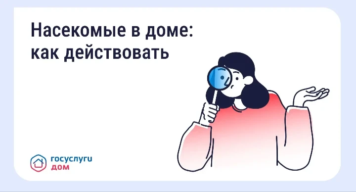 🐜  Борьба с насекомыми в многоквартирном доме

Появление тараканов, клопов, муравьёв или мокриц в п