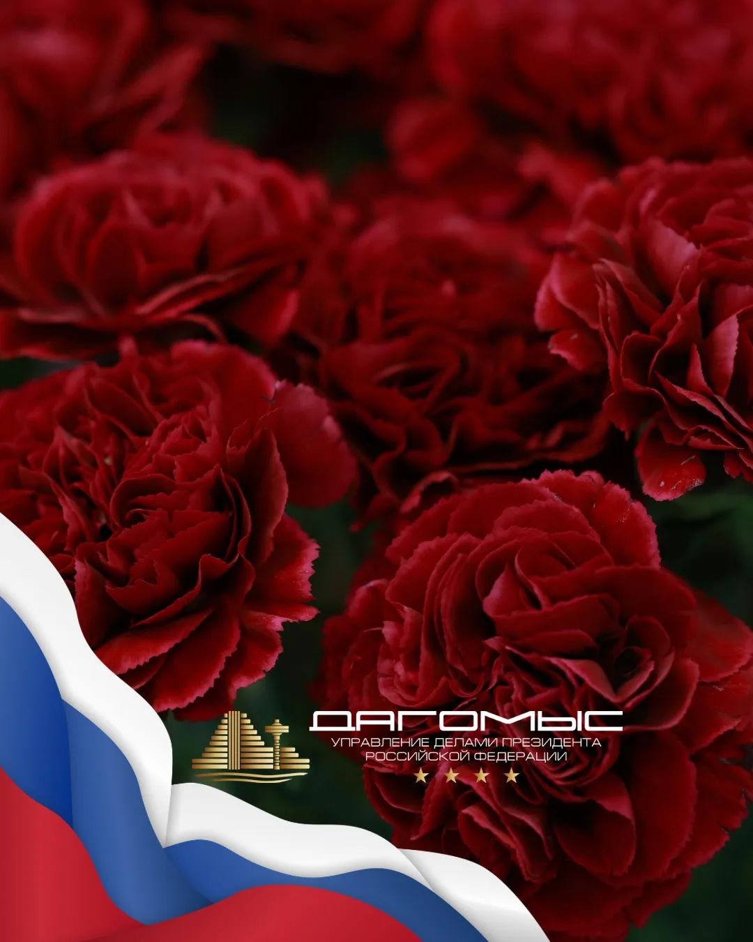 Дорогие гости и друзья оздоровительного комплекса «Дагомыс»!