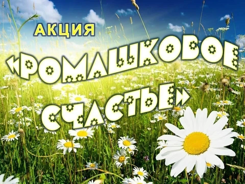 06.07 по 09.07.2026 г в детском саду пройдёт акция "Ромашковое счастье", приуроченная к празднику "Д
