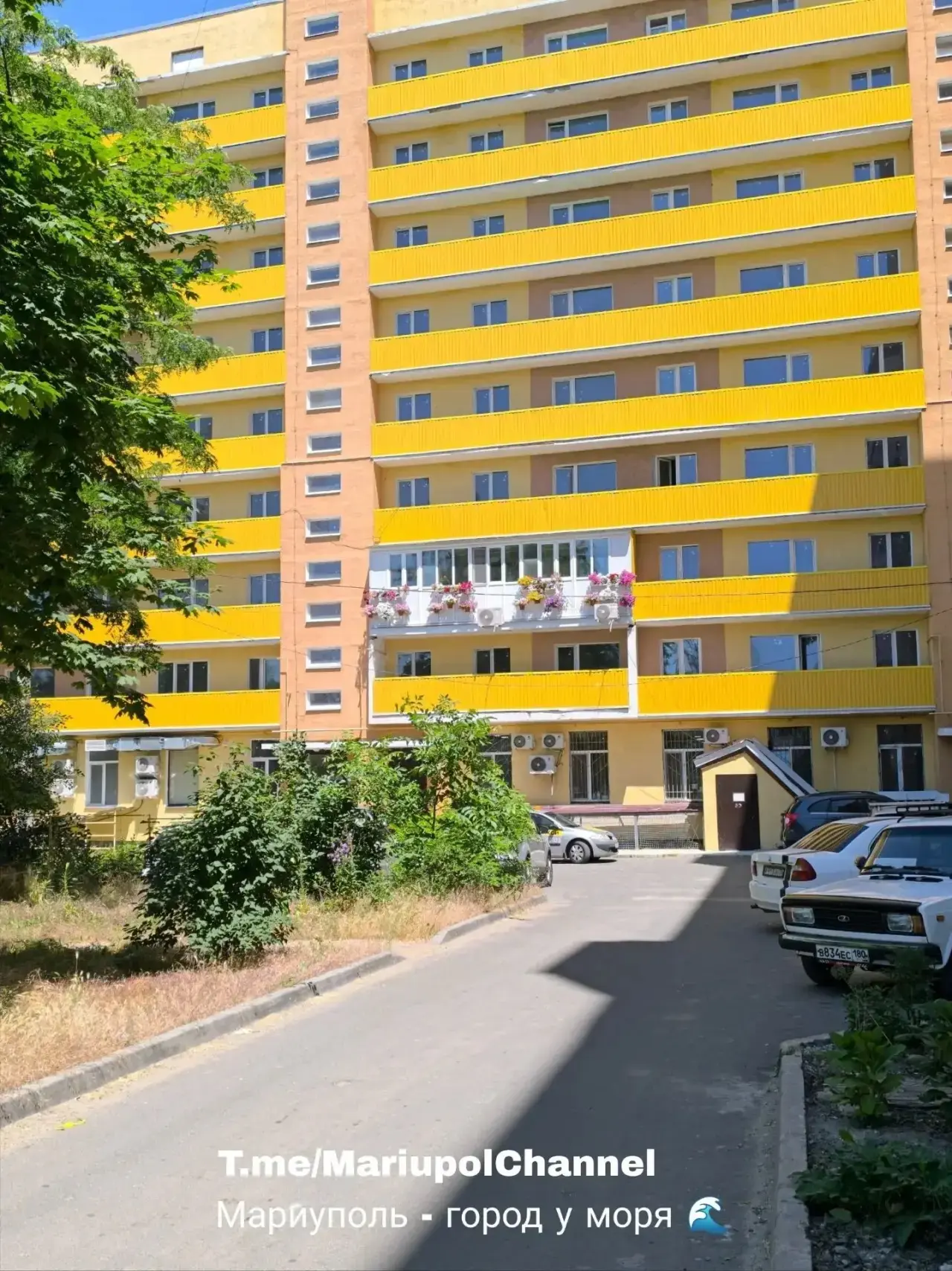 Кто-то создал свой личный маленький оазис - среди аккуратных рядов солнечно-жёлтых, но типовых балко