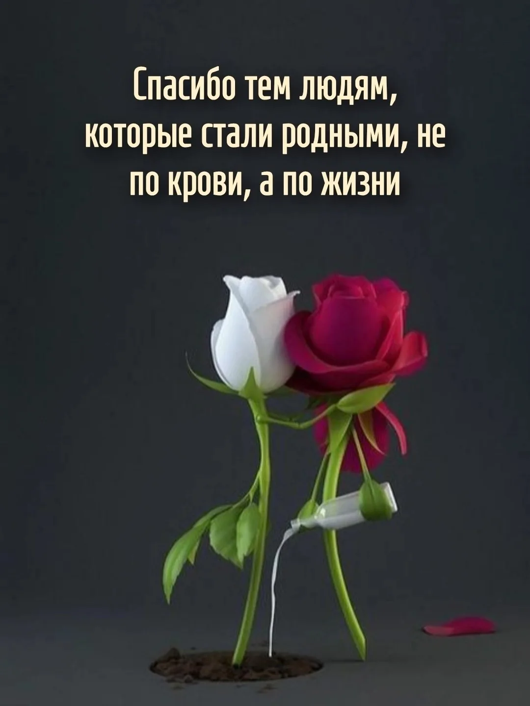 Цитаты жизни
