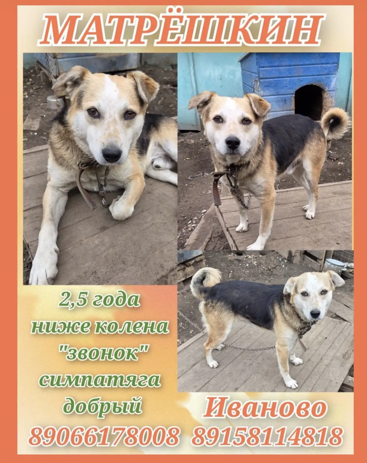 МАТРЁШКИН