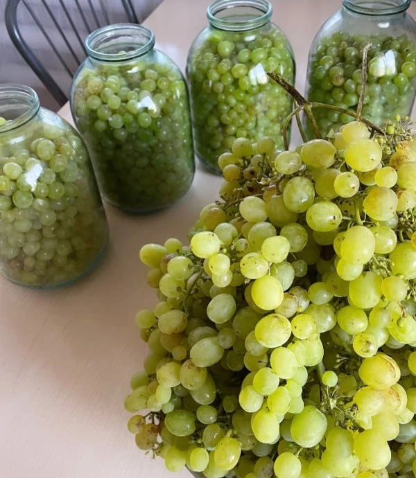 Упрощаю работу по приготовлению домашнего вина 😉👍🏻🍇🍷